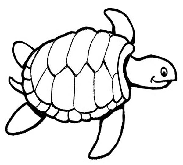 Printable Sea Turtle Coloring Page