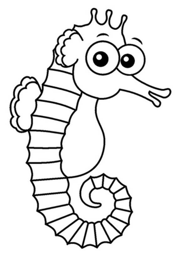 Printable Seahorse Coloring Pages