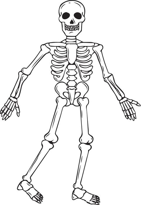 Printable Skeleton Coloring Pages