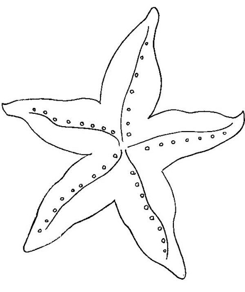 Printable Starfish Coloring Pages