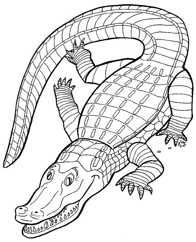 Printable Crocodile Coloring Pages