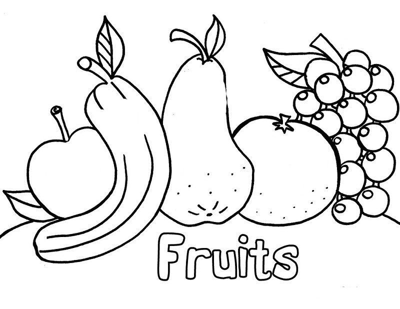 5600 Top Multiple Apple Coloring Pages  Images