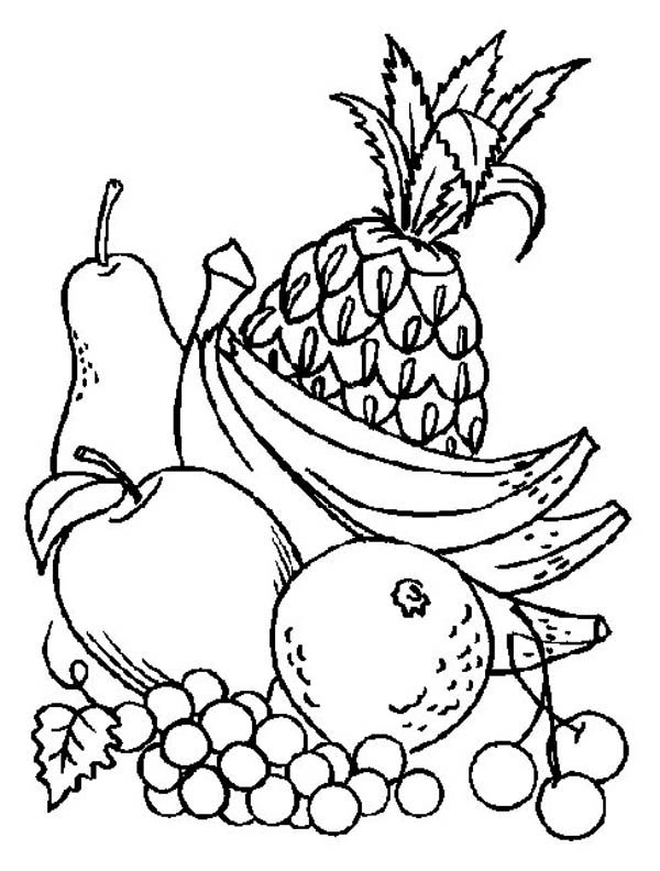 5600 Top Multiple Apple Coloring Pages  Images