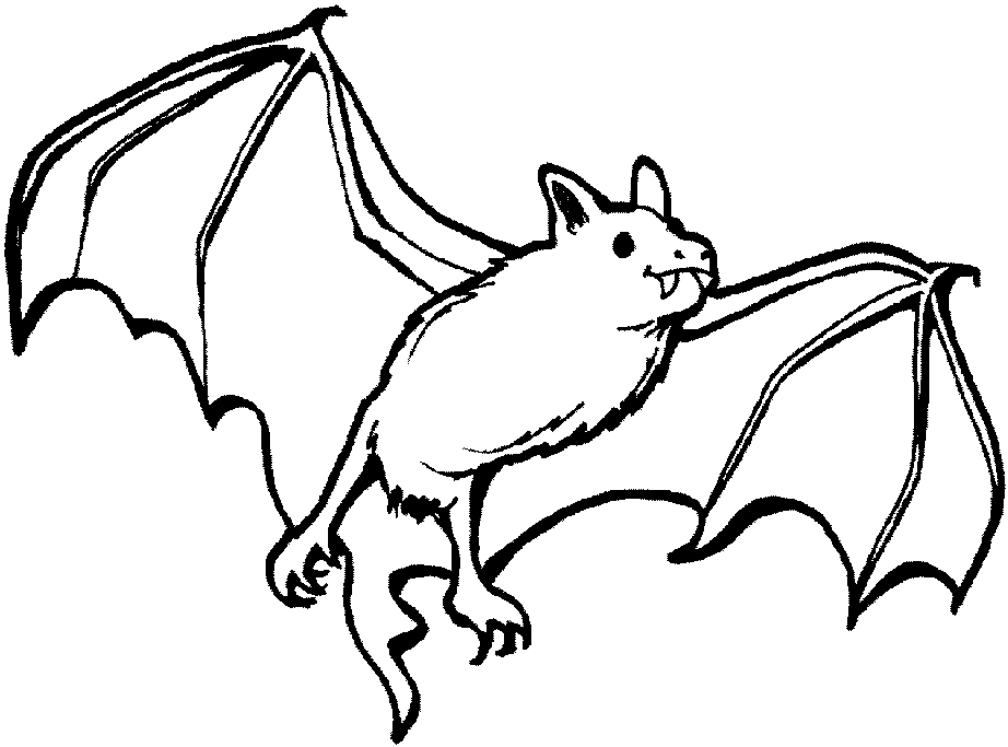 Printable Bats Coloring Pages