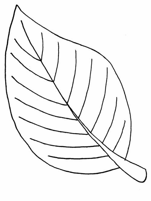 Printable Leaf Coloring Pages