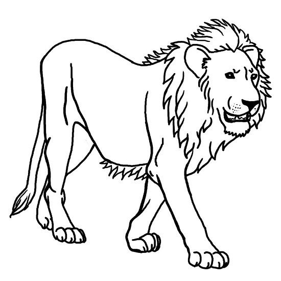 Printable Lion Coloring Pages