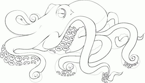 realistic octopus coloring page