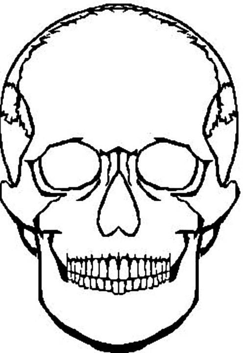 Printable Skull Coloring Pages