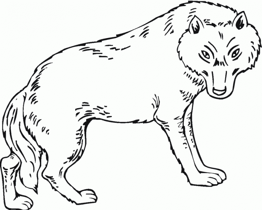 Free WOLF Coloring Pages for Download (Printable PDF) - VerbNow