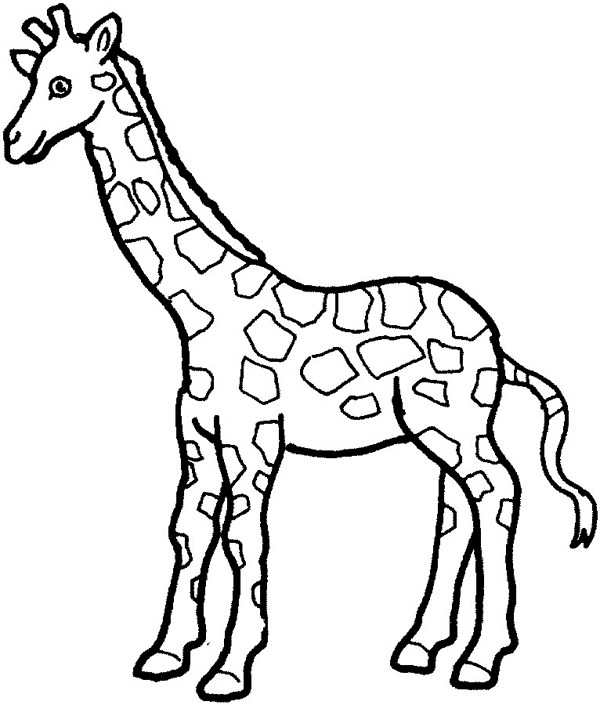 Zoo Animal Coloring Pages 