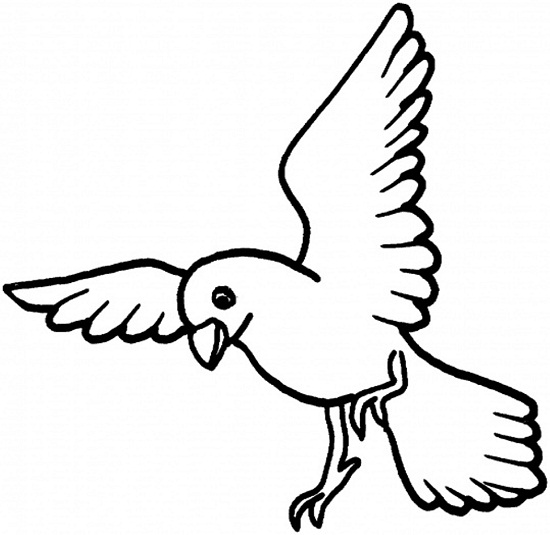 520 Bird Wings Coloring Pages Pictures