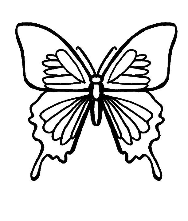 printable butterfly coloring pages  coloringme