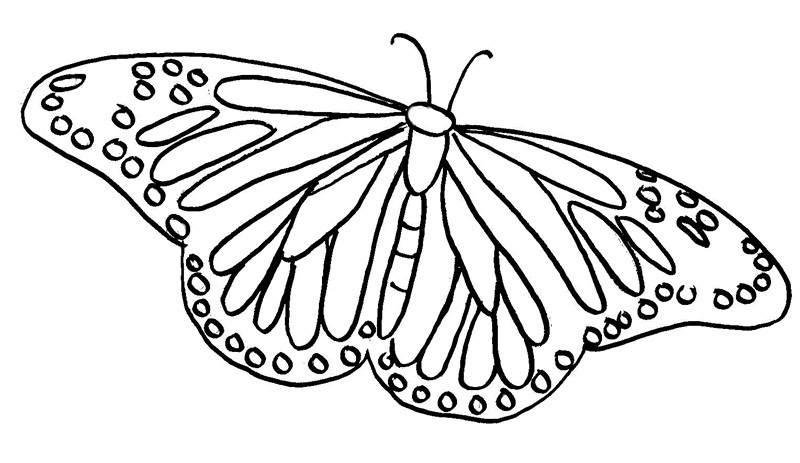 Printable Butterfly Coloring Pages