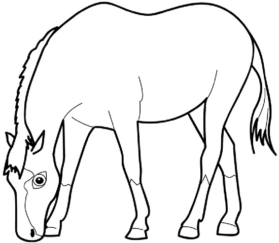 Printable Animal Coloring Pages