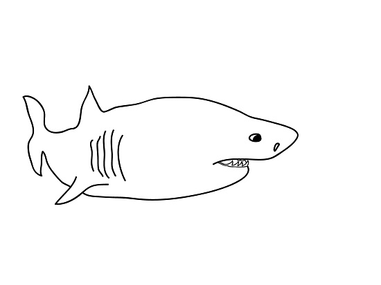 Coloring Pages Sharks Printable | ColoringMe.com