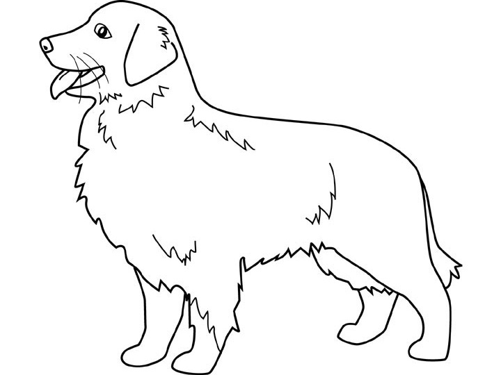 Printable Dog Coloring Pages