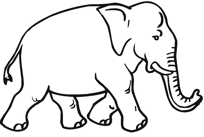 Printable Elephant Coloring Pages