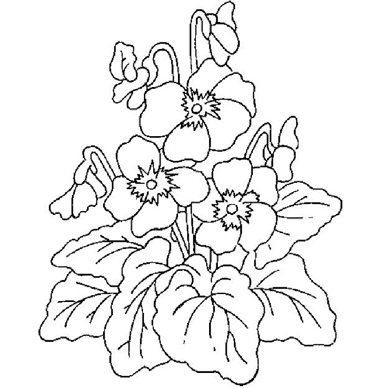 Flowers Coloring Pages Print | ColoringMe.com