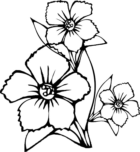 Printable Flowers Coloring Pages