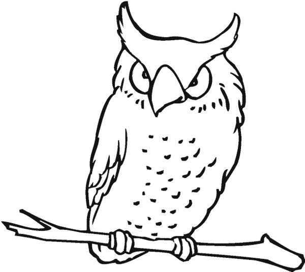 Owl Coloring Pages for Kids | ColoringMe.com